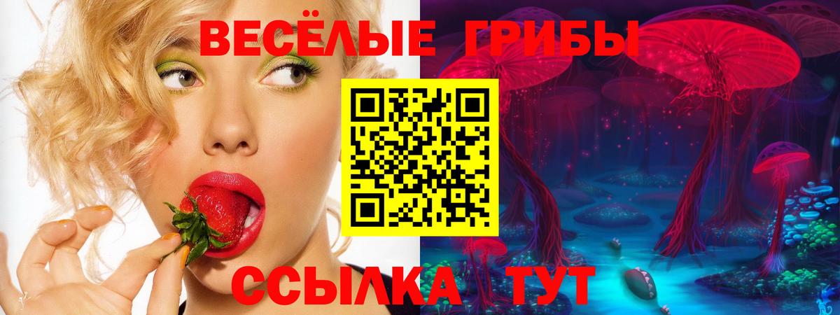 Галлюциногенные грибы Psilocybe Богданович