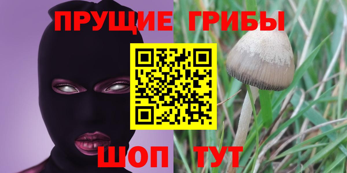 Богданович  Псилоцибиновые грибы Psilocybe  Вход с VPN  купить  сайты  Галлюциногенные грибы MAGIC MUSHROOMS 